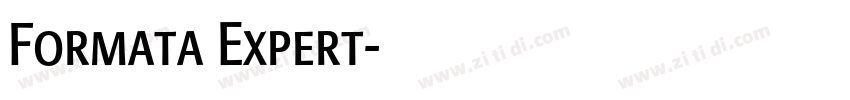 Formata Expert字体转换